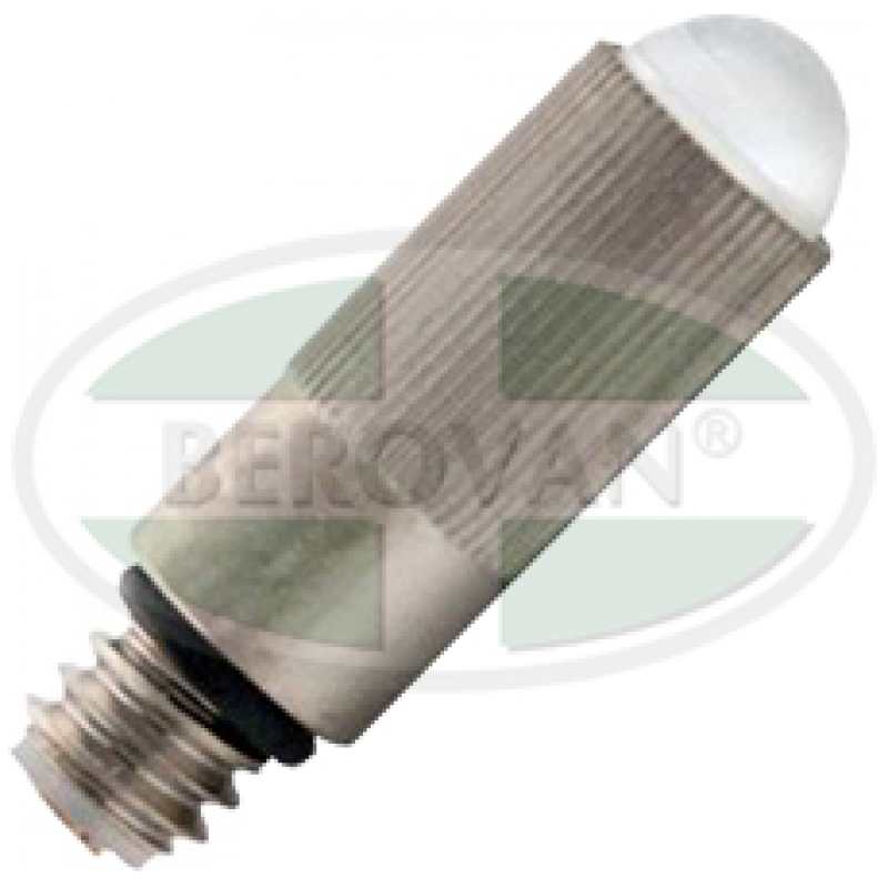 WA-BULB-OLD-LARYNG-ADULT-04800-U